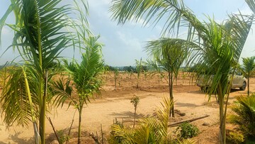 Plot Area in  Plot at Jangaon – for Sale