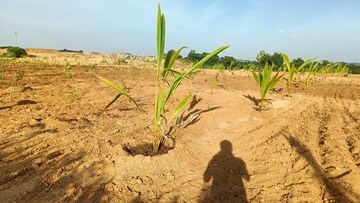 Plot Area in  Plot at Jangaon – for Sale