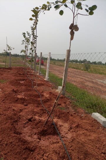 Plot Area in  Plot at Tiruvallur – for Sale