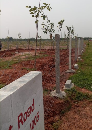 Plot Area in  Plot at Tiruvallur – for Sale