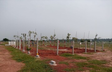 Plot Area in  Plot at Tiruvallur – for Sale