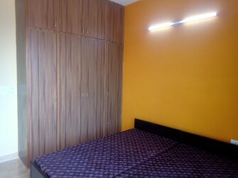 2 BHK Apartment For Rent in Beverly Towers Sector 21 Gurgaon  7776357