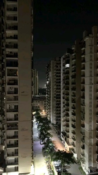 2 BHK Apartment For Rent in Prateek Wisteria Sector 77 Noida  7776911