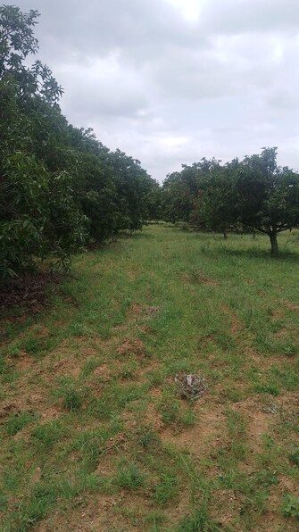 Plot For Resale in Kothakota Mahbubnagar  7754269