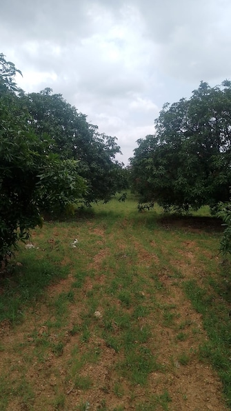 Plot For Resale in Kothakota Mahbubnagar  7754269