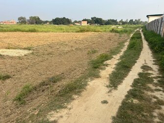 Plot For Resale in Naini Allahabad  7777499