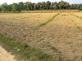 Plot For Resale in Naini Allahabad  7777499