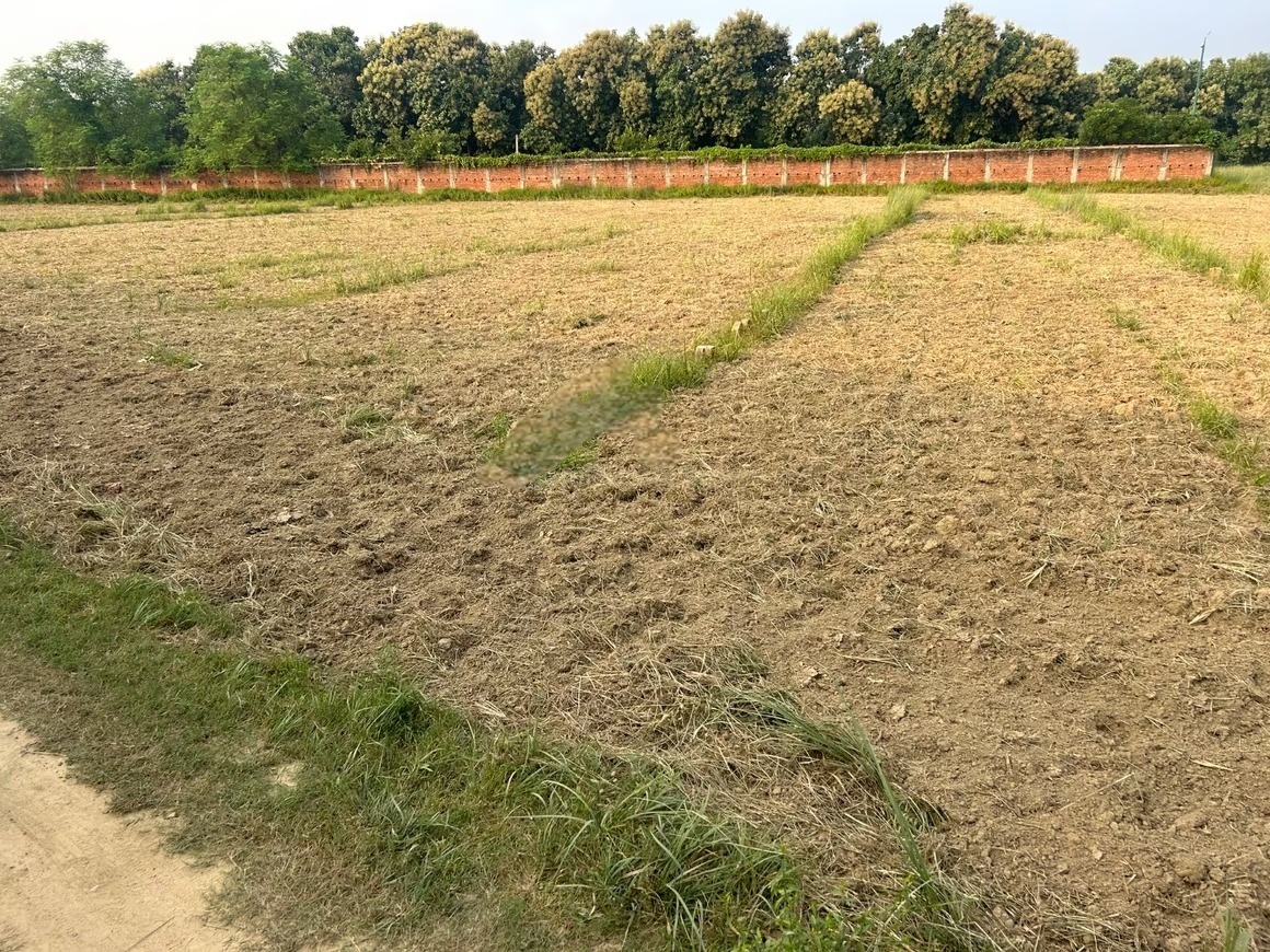 Plot For Resale in Naini Allahabad  7777534