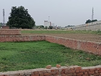 Plot For Resale in North Malaka Allahabad  7777568