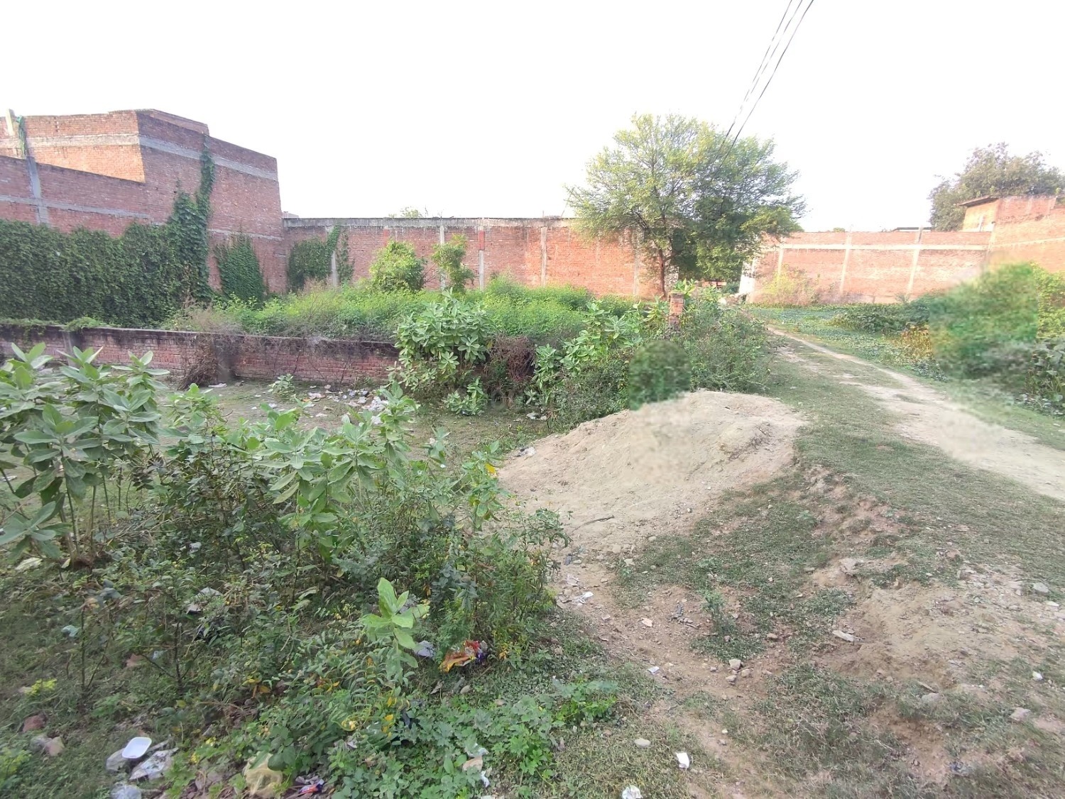 Plot For Resale in Jhusi Allahabad  7777609