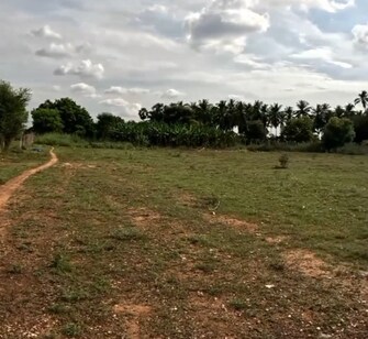 Plot For Resale in Velampalayam Tirupur  7777934