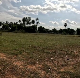 Plot For Resale in Velampalayam Tirupur  7777934