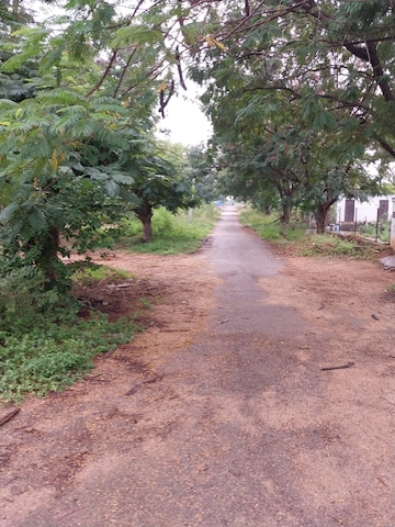 Plot For Resale in Tatti Annaram Hyderabad  7778058