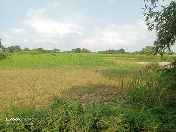 Plot Area in  Plot at Paithani Nathupur – for Sale