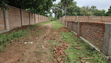 Plot Area in  Plot at Parmanandpur – for Sale