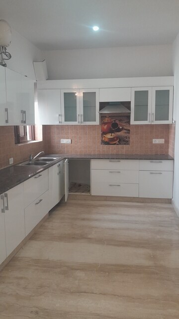 3 BHK Builder Floor For Rent in SS Mayfield Gardens Sector 51 Gurgaon  7778331