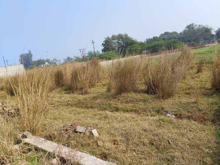 undefined, lalbagh  1250 Sq.Ft. Plot In Lalbagh Lucknow 7778385