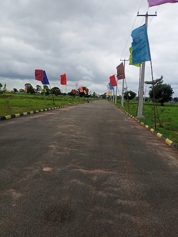 Plot For Resale in Rajapet Hyderabad  7778656