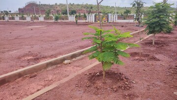  Plot For Sale in Budhera