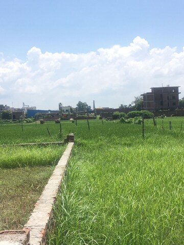  Plot – Nearby View at Ramnagar - for Sale