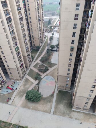 2 BHK Apartment For Resale in Aditya Urban Homes Shahpur Bamheta Ghaziabad  7778963