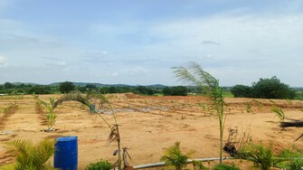 Plot For Resale in Jangaon Hyderabad  7779041