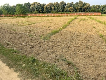 Plot For Resale in Azad Nagar Allahabad  7779213