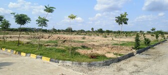 Plot For Resale in Shadnagar Hyderabad  7779340