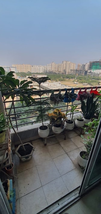 3 BHK Apartment For Rent in ABA Cherry County Noida Ext Tech Zone 4 Greater Noida  7779392