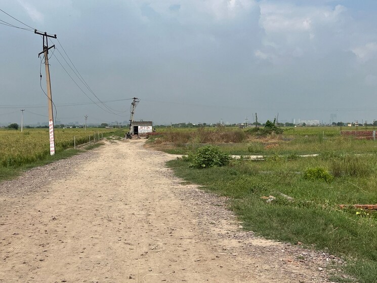 undefined, sector 89  91 Sq.Yd. Plot In Sector 89 Faridabad 7779605