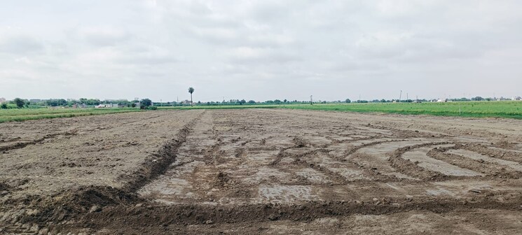 undefined, sector 89  93 Sq.Yd. Plot In Sector 89 Faridabad 7779641