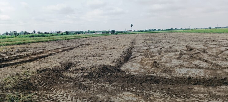 undefined, sector 89  93 Sq.Yd. Plot In Sector 89 Faridabad 7779641