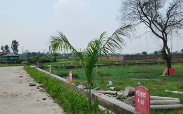 Plot For Sale in Tappal