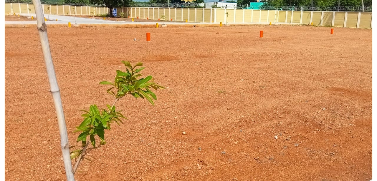 Plot For Sale in Rainbow City 