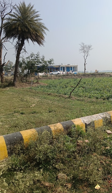 Plot For Resale in Faizabad Road Lucknow  7779975