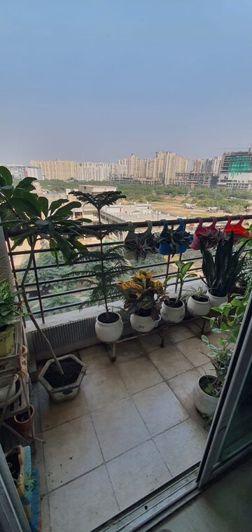Gym in 3 BHK Apartment at Paramount Emotions, Sector 1 Greater Noida – for Sale