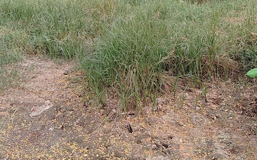 Plot For Sale in Sector 10