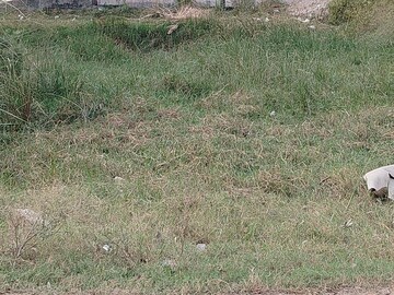  Plot For Sale in Sector 10