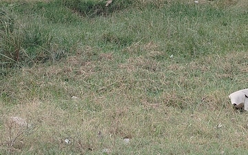 Plot For Sale in Sector 10