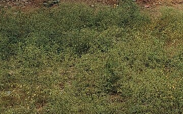 Plot For Sale in Sector 10