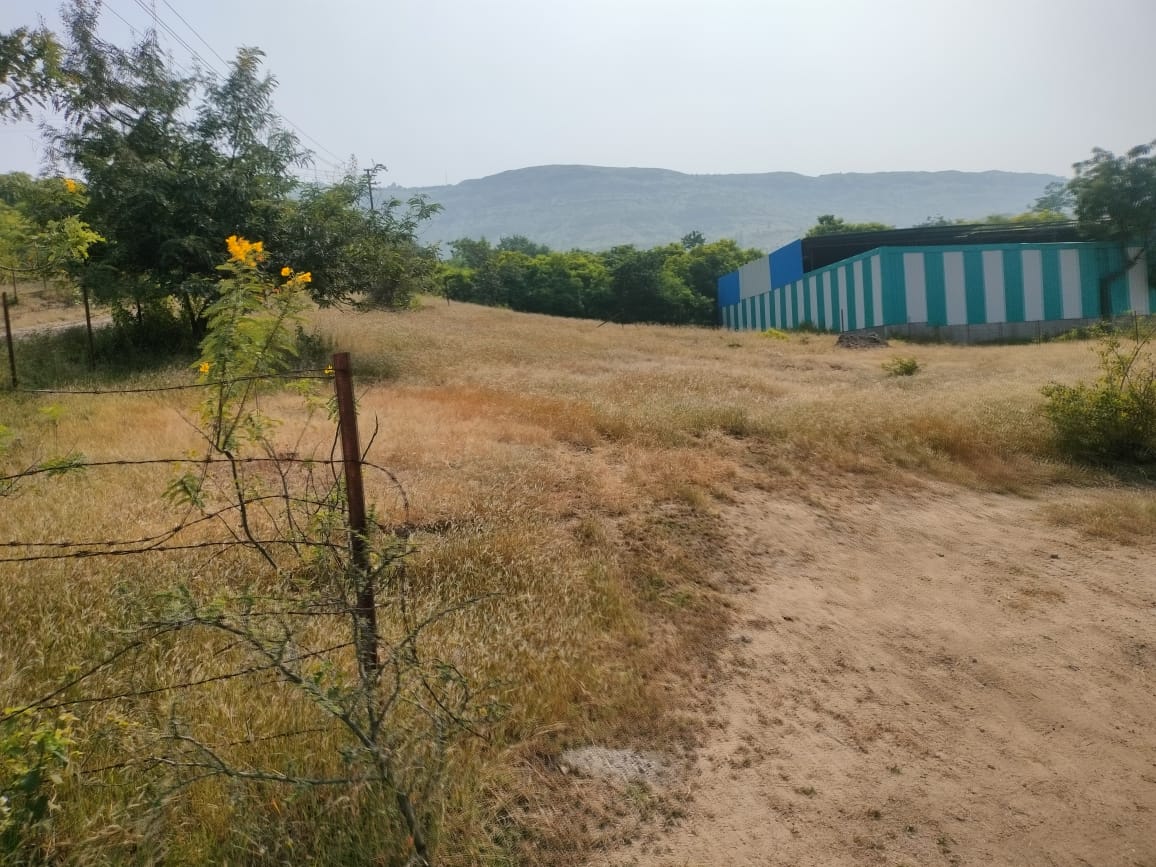 Plot For Resale in Hulshur Pune  7780361