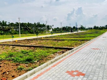 Plot For Resale in Dasanapura Bangalore  7780343