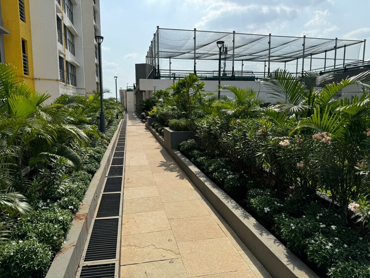 Balcony, paranjape-blue-ridge 1 Bedroom 550 Sq.Ft. Apartment In Hinjewadi Pune 7780458