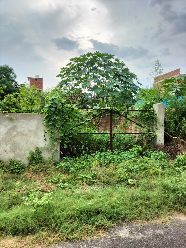 Garden, sushant golf city  1746 Sq.Ft. Plot In Sushant Golf City Lucknow 7780651