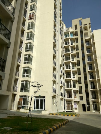 2 BHK Apartment For Rent in Ansal Celebrity Meadows Sushant Golf City Lucknow  7780879