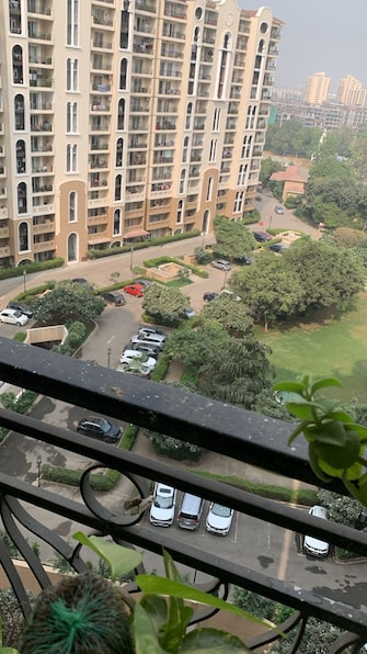 3 BHK Apartment For Resale in DLF New Town Heights I Sector 90 Gurgaon  7780931