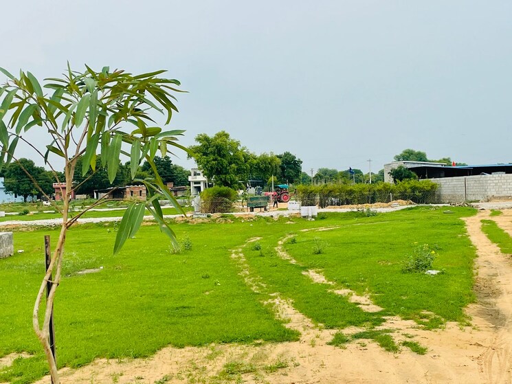 Garden, keshvam-homeland  138 Sq.Yd. Plot In Mahapura Jaipur 7781222