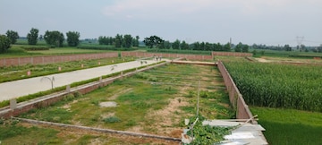 Plot For Resale in Baheri Bareilly  7781285