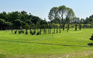 Plot For Sale in Sector 156