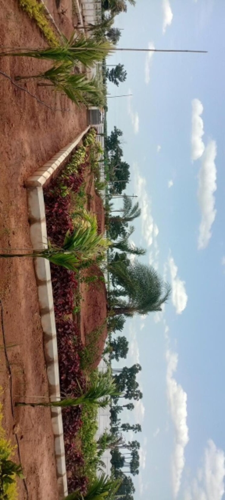 Garden, sri-bhumi-eeshaanya  250 Sq.Yd. Plot In Kankipadu Vijayawada 7781372